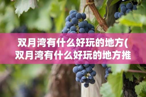 双月湾有什么好玩的地方(双月湾有什么好玩的地方推荐)