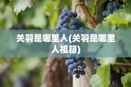 关羽是哪里人(关羽是哪里人祖籍)