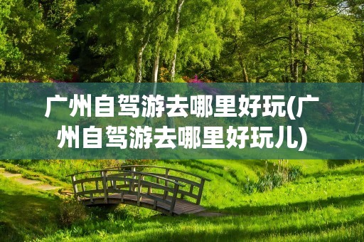 广州自驾游去哪里好玩(广州自驾游去哪里好玩儿)
