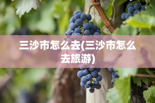 三沙市怎么去(三沙市怎么去旅游)