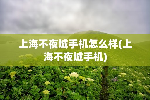 上海不夜城手机怎么样(上海不夜城手机)
