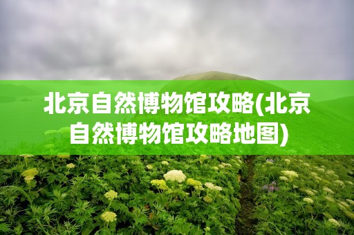 北京自然博物馆攻略(北京自然博物馆攻略地图)
