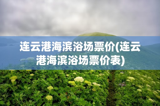 连云港海滨浴场票价(连云港海滨浴场票价表)