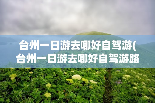 台州一日游去哪好自驾游(台州一日游去哪好自驾游路线)