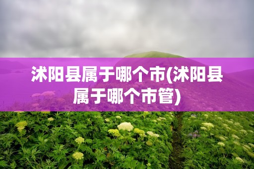 沭阳县属于哪个市(沭阳县属于哪个市管)