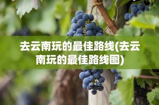 去云南玩的最佳路线(去云南玩的最佳路线图)