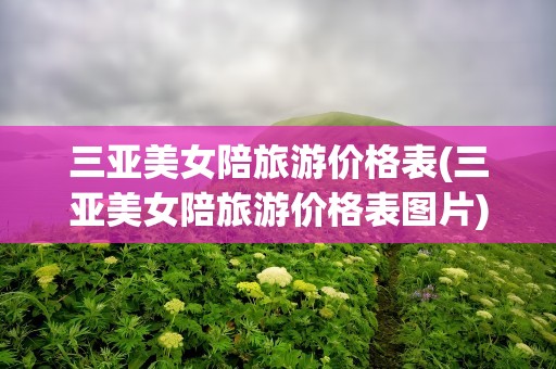 三亚美女陪旅游价格表(三亚美女陪旅游价格表图片)