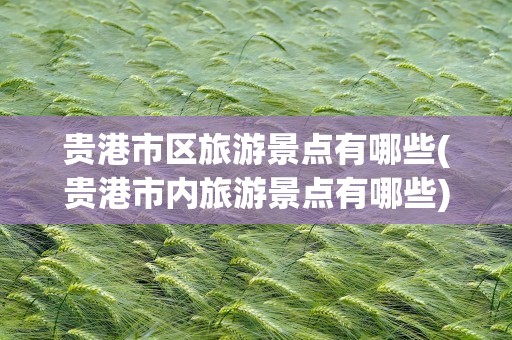 贵港市区旅游景点有哪些(贵港市内旅游景点有哪些)