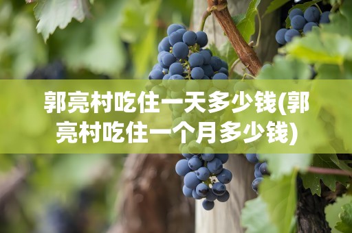 郭亮村吃住一天多少钱(郭亮村吃住一个月多少钱)