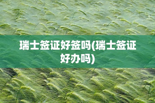 瑞士签证好签吗(瑞士签证好办吗)