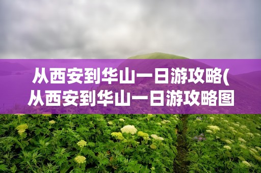 从西安到华山一日游攻略(从西安到华山一日游攻略图)