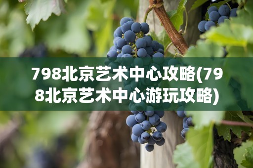 798北京艺术中心攻略(798北京艺术中心游玩攻略)