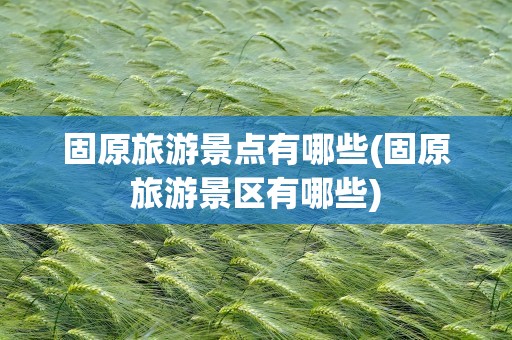 固原旅游景点有哪些(固原旅游景区有哪些)