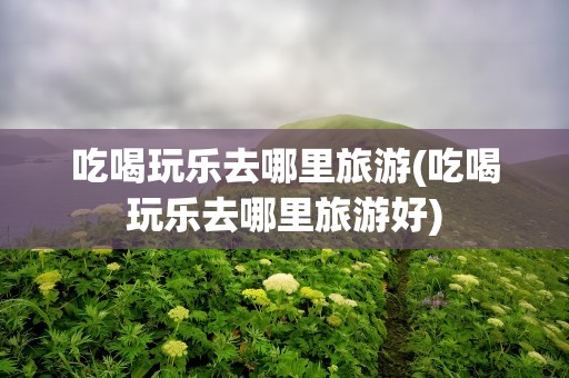 吃喝玩乐去哪里旅游(吃喝玩乐去哪里旅游好)