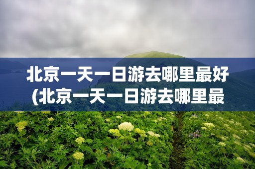 北京一天一日游去哪里最好(北京一天一日游去哪里最好玩)
