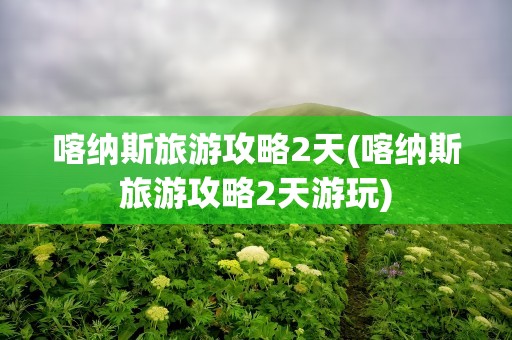 喀纳斯旅游攻略2天(喀纳斯旅游攻略2天游玩)