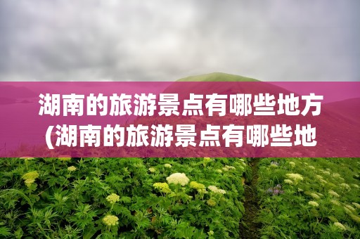 湖南的旅游景点有哪些地方(湖南的旅游景点有哪些地方河)