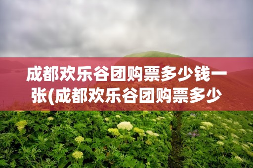 成都欢乐谷团购票多少钱一张(成都欢乐谷团购票多少钱一张啊)