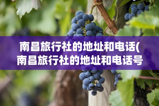 南昌旅行社的地址和电话(南昌旅行社的地址和电话号码)