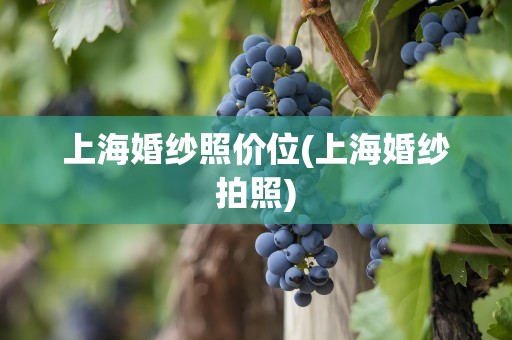 上海婚纱照价位(上海婚纱拍照)