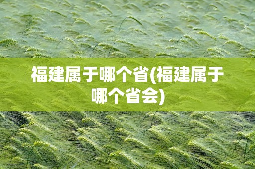 福建属于哪个省(福建属于哪个省会)