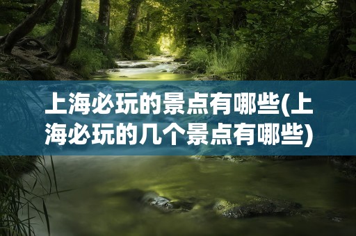 上海必玩的景点有哪些(上海必玩的几个景点有哪些)