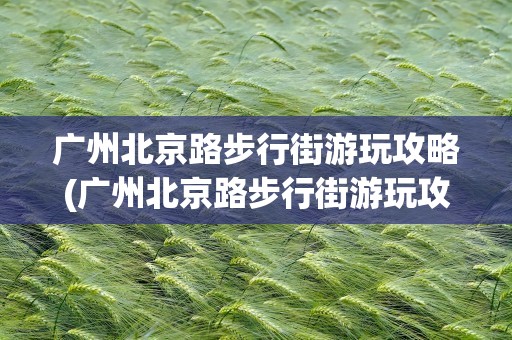 广州北京路步行街游玩攻略(广州北京路步行街游玩攻略美食)
