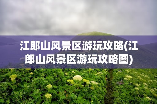 江郎山风景区游玩攻略(江郎山风景区游玩攻略图)