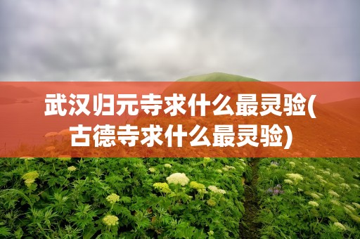 武汉归元寺求什么最灵验(古德寺求什么最灵验)