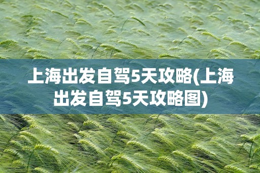 上海出发自驾5天攻略(上海出发自驾5天攻略图)