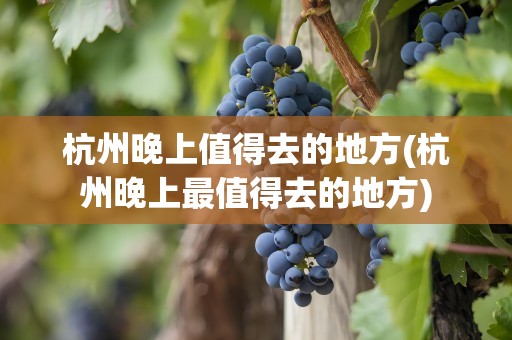 杭州晚上值得去的地方(杭州晚上最值得去的地方)