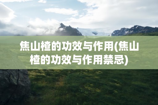 焦山楂的功效与作用(焦山楂的功效与作用禁忌)