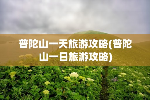 普陀山一天旅游攻略(普陀山一日旅游攻略)