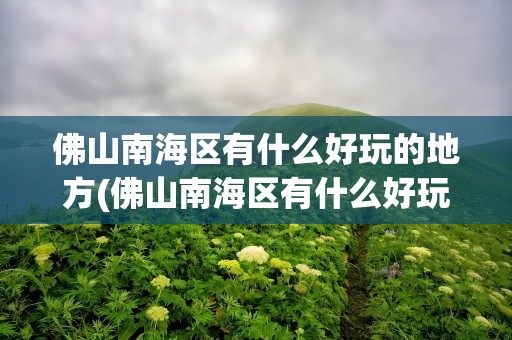 佛山南海区有什么好玩的地方(佛山南海区有什么好玩的地方吗)