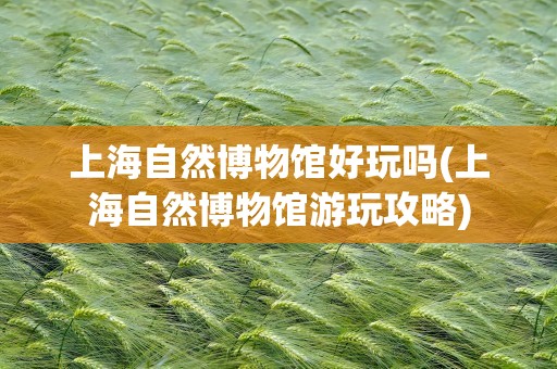 上海自然博物馆好玩吗(上海自然博物馆游玩攻略)