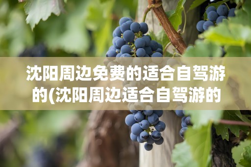 沈阳周边免费的适合自驾游的(沈阳周边适合自驾游的地方)