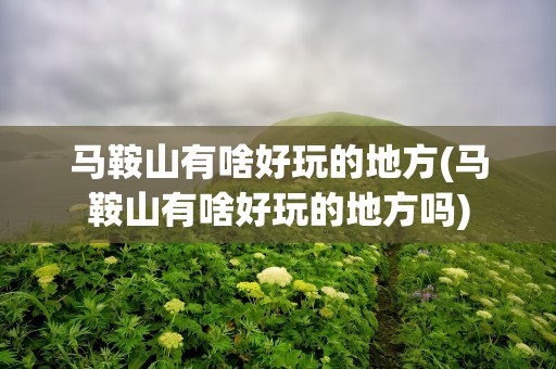 马鞍山有啥好玩的地方(马鞍山有啥好玩的地方吗)