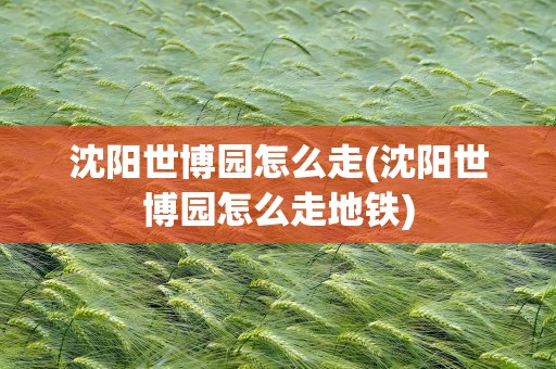 沈阳世博园怎么走(沈阳世博园怎么走地铁)
