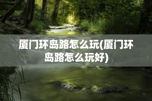 厦门环岛路怎么玩(厦门环岛路怎么玩好)