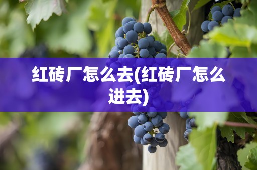 红砖厂怎么去(红砖厂怎么进去)