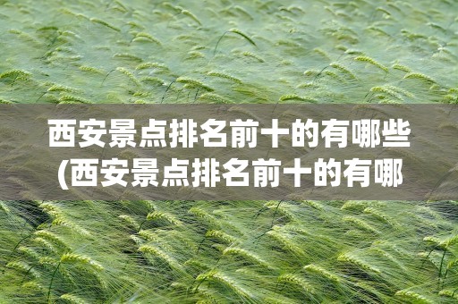 西安景点排名前十的有哪些(西安景点排名前十的有哪些地方)