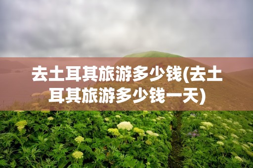 去土耳其旅游多少钱(去土耳其旅游多少钱一天)