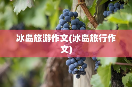 冰岛旅游作文(冰岛旅行作文)