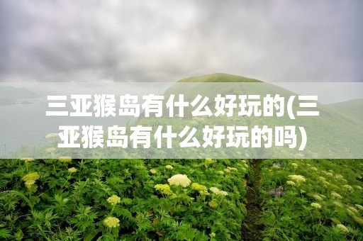 三亚猴岛有什么好玩的(三亚猴岛有什么好玩的吗)
