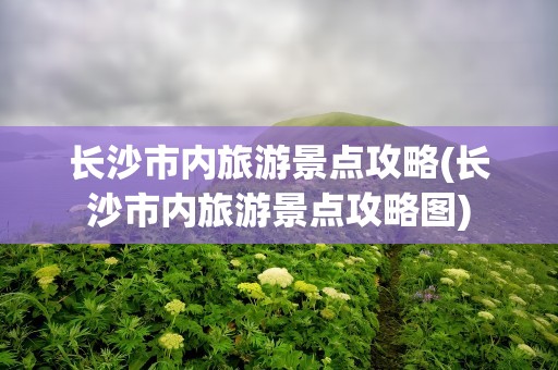 长沙市内旅游景点攻略(长沙市内旅游景点攻略图)
