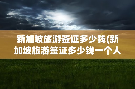 新加坡旅游签证多少钱(新加坡旅游签证多少钱一个人)