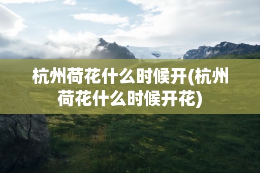 杭州荷花什么时候开(杭州荷花什么时候开花)
