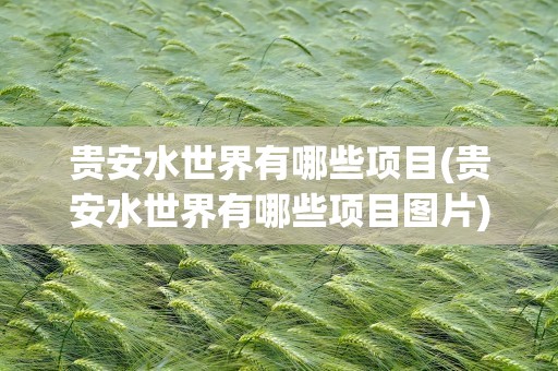 贵安水世界有哪些项目(贵安水世界有哪些项目图片)