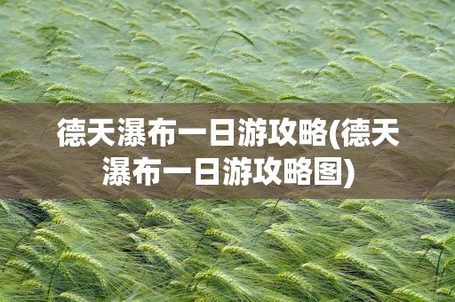 德天瀑布一日游攻略(德天瀑布一日游攻略图)