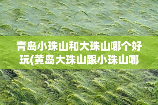 青岛小珠山和大珠山哪个好玩(黄岛大珠山跟小珠山哪个好玩)